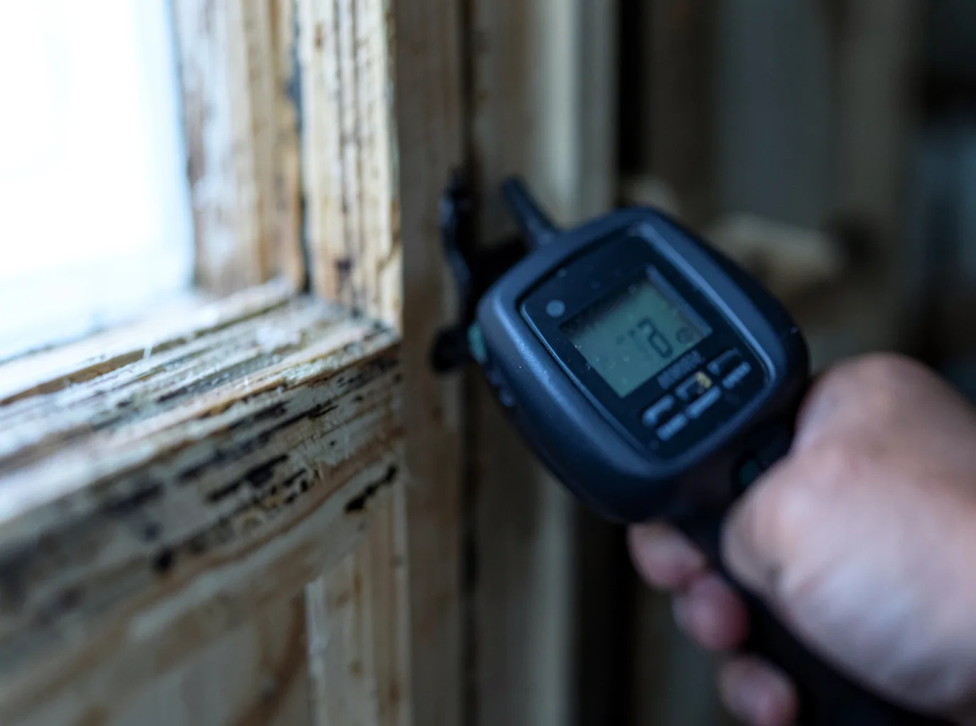 Moisture Inspection And Documentation in Rockport, ME